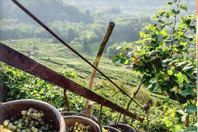 Full Day Wine Tour and Tasting in the Prosecco Region - Stop at L’Osteria Senz’Oste: a short terrace moment