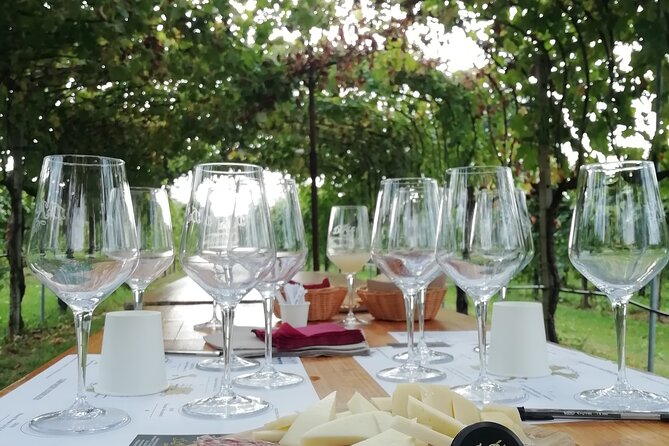 Full Day Wine Tour and Tasting in the Prosecco Region - Inside the first winery stop at Valdobbiadene: production to tasting