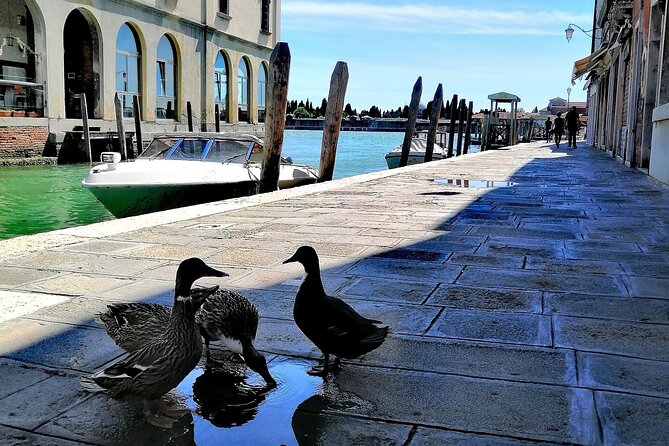 Island Hopping Tour: Mazzorbo, Burano and Murano - Mazzorbo First: Gardens, Vineyards, and a Monastery Mood