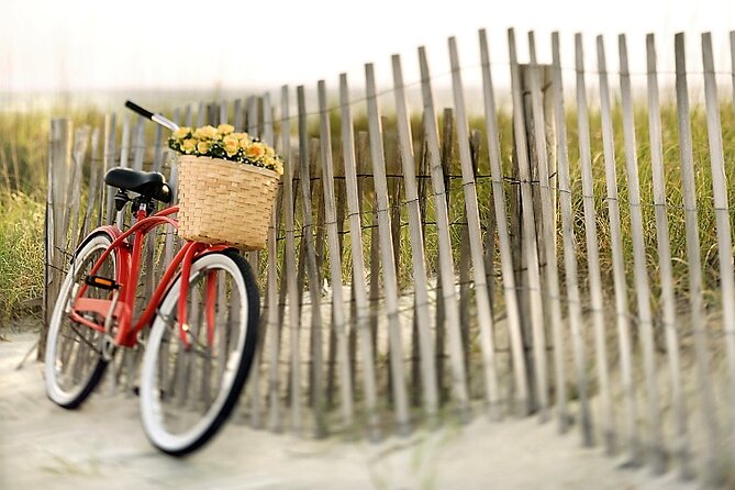 Lido Bike Tour: With a Local on the Island of Cinema - Why Lido by bike beats Venice on foot