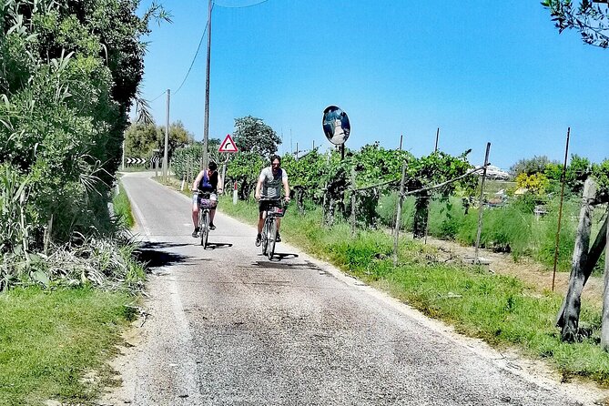 Lio Piccolo: Flamingos & Birdwatching Bike Tour in the Lagoon - Stop-by-stop: how the route turns into flamingo birdwatching