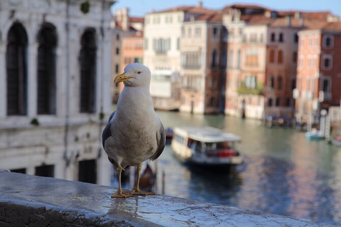 Photography workshop in the magical Venice (3h) - Street Photography Techniques That Actually Change Your Photos