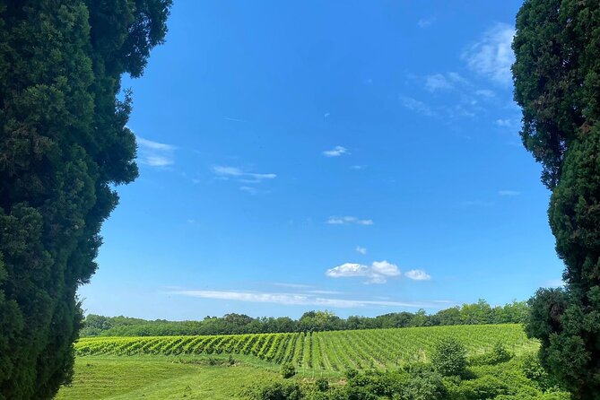 Premium Cheeses and Gins Tour in the Prosecco hills. Full lunch! - San Pietro di Feletto: cheese tasting with a maker’s story