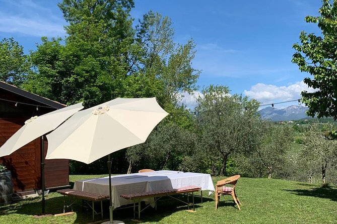 Premium Private Prosecco Hills Tour - 2 Wineries. Private tour. - Collalbrigo Lunch Break: A Real Meal in the Hills