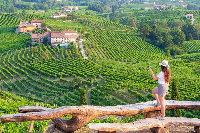 Premium Prosecco Hills Winery Tour with Prosecco Tastings & Food - Quick hits before you go