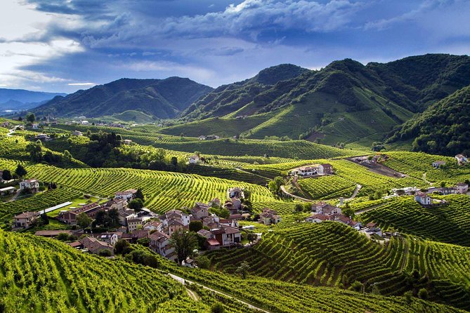 Premium Prosecco Hills Winery Tour with Prosecco Tastings & Food - From Venice to the UNESCO Prosecco Hills in one smooth morning