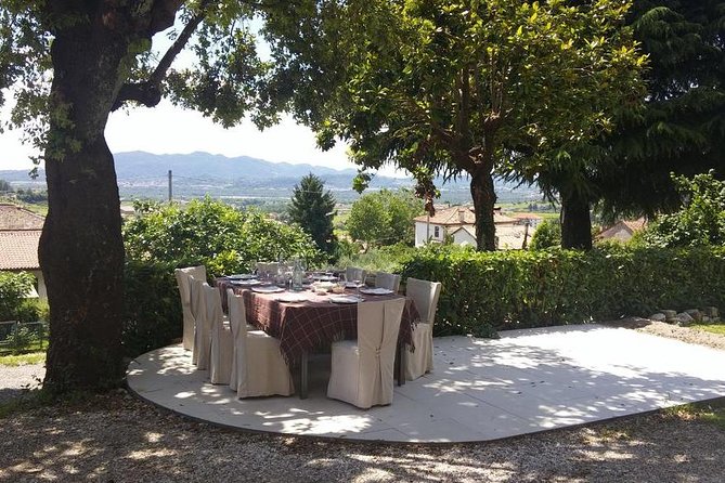 Premium Prosecco Hills Winery Tour with Prosecco Tastings & Food - Conegliano winery visit: small-group, owner-led Prosecco DOCG tastings
