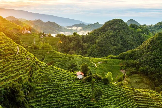 Premium Prosecco Hills Winery Tour with Prosecco Tastings & Food - What makes the tasting feel different: DOCG, no added sulfites, and real pairing