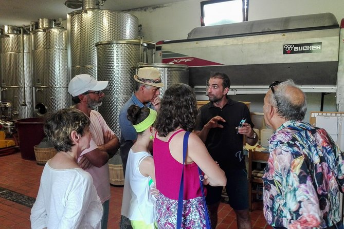 Premium Prosecco Hills Winery Tour with Prosecco Tastings & Food - Value check: why $247.39 can make sense for the right traveler