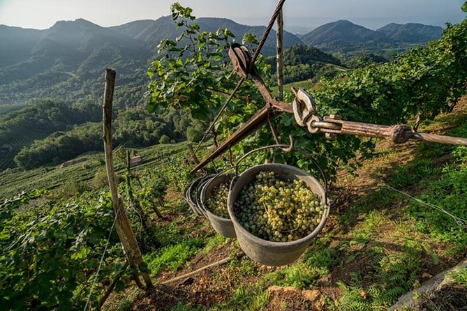 Premium Prosecco Hills Winery Tour with Prosecco Tastings & Food - The 9:30 am pickup at Piazzale Roma (and your backup options)