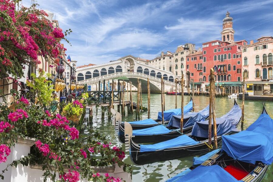Private Art & Culture Tour in Dorsoduro and Academia, Venice - Starting at Ca Maria Adele, with Santa Maria della Salute in view