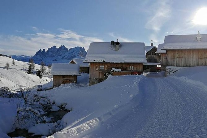 Private Dolomites Day Trip from Venice by Mercedes Class e Lux - Price and Value: When Private Makes Sense