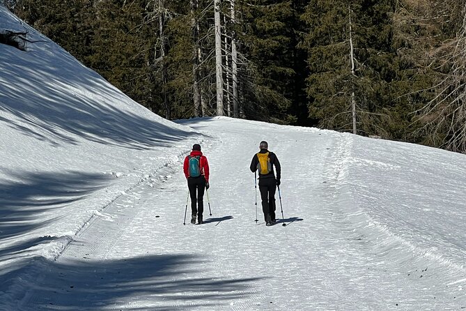 Private Dolomites Winter Day Tour from Venice - Tre Cime di Lavaredo in winter: snowmobile or a walk to the panorama