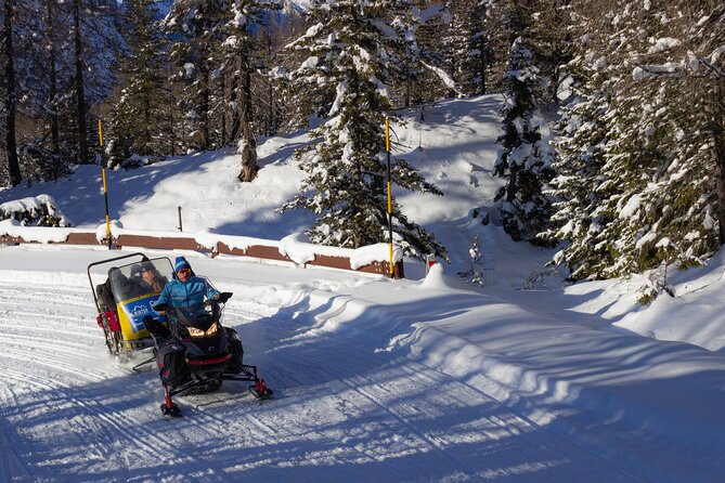 Private Dolomites Winter Day Tour from Venice - Antorno Lake: snow-surrounded stillness for people who like quiet
