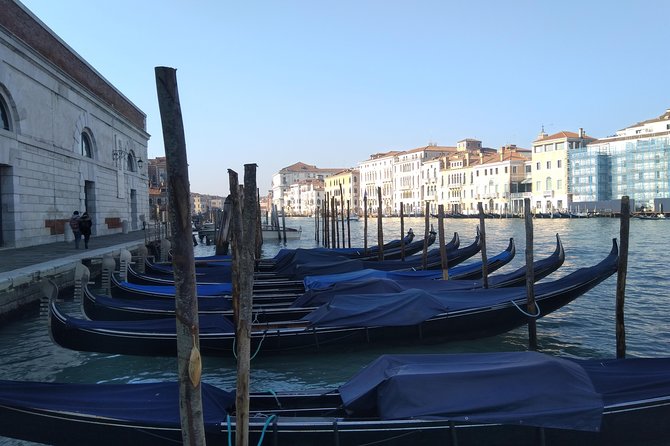 Private exclusive Venice and Murano guided tour - Rialto in 15 minutes: the Grand Canal view with less stress