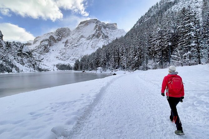 Private Guided Tour in the Dolomites from Venice - Lake Auronzo di Cadore: a short shore walk with glacier history