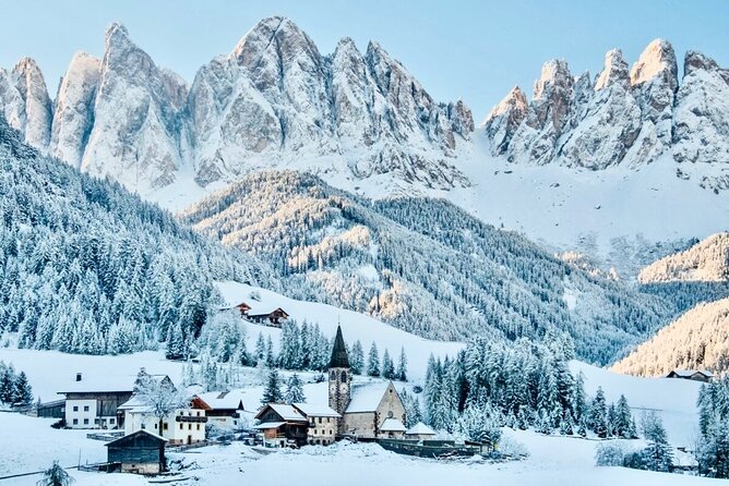 Private Guided Tour in the Dolomites from Venice - Lago di Dobbiaco: a quieter border-lake with wetland life