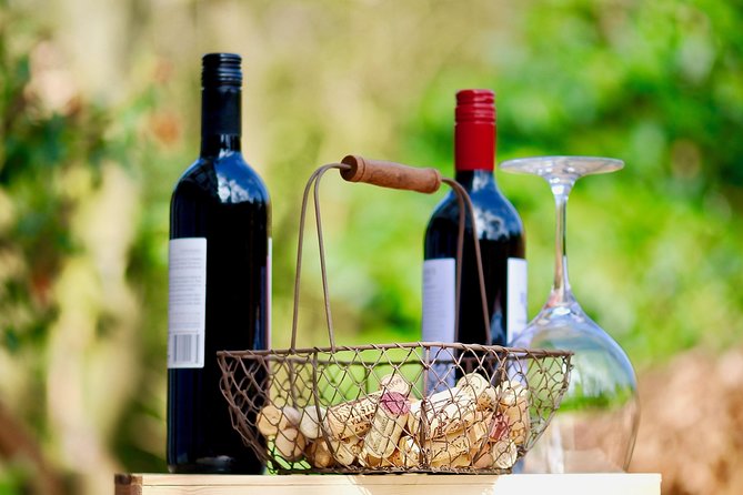 Private Half Day Wine Tasting tour: Road Of The Doges - Veneto from Venice, in a real half-day
