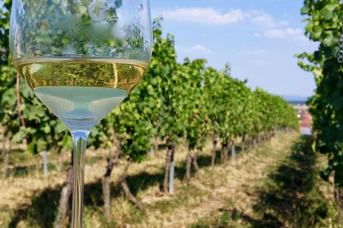 Private Half Day Wine Tasting tour: Road Of The Doges - Private day, but group size can still shape the vibe