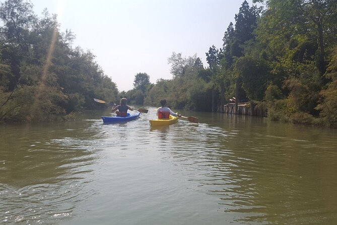 Private Kayak Tour in the Venetian Lagoon - Who This Private Kayak Tour Fits Best