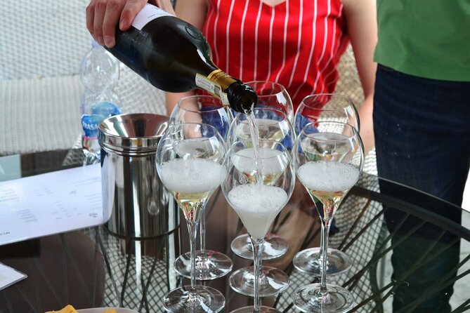 Private Tour: Prosecco Wine Tasting Day Trip with Lunch from Venice - Key points to know before you go