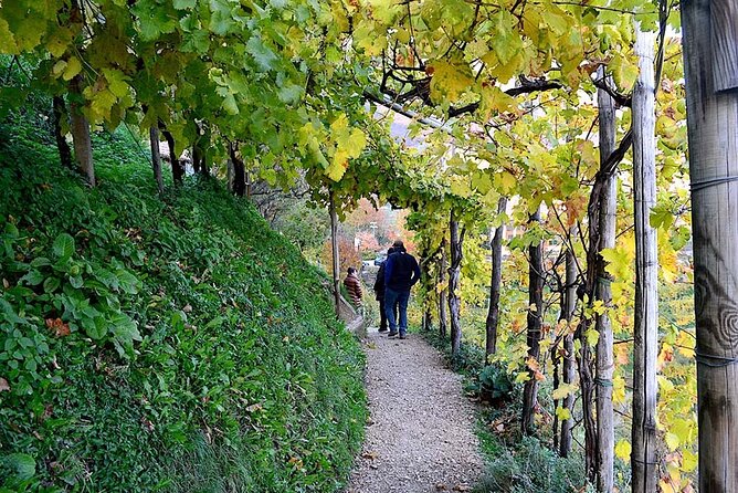 Private Tour: Prosecco Wine Tasting Day Trip with Lunch from Venice - Venice to Valdobbiadene, the Prosecco day trip that actually has a point