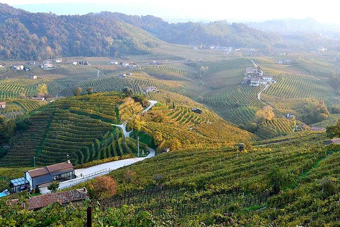 Private Tour: Prosecco Wine Tasting Day Trip with Lunch from Venice - The pacing: an 8-hour day with room for enjoyment, but plan for timing