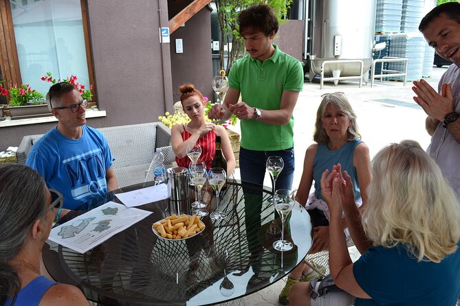 Private Tour: Prosecco Wine Tasting Day Trip with Lunch from Venice - Price and value: what you’re paying for at $480.59 per person