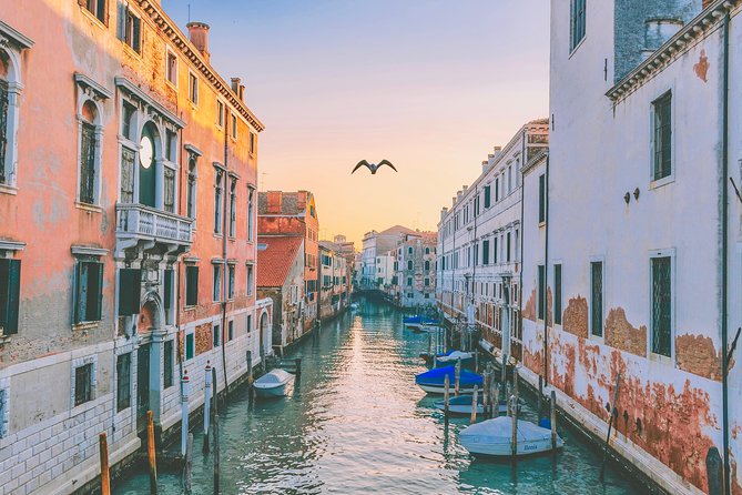 Private Tour: Venice Art and Architecture Walking Tour - How your guide shapes the tour (and what to ask for)