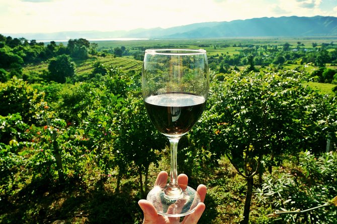 Private Valpolicella Day Trip from Venice: Wine Tasting and Verona - Lunch in Verona: How to Keep It Easy