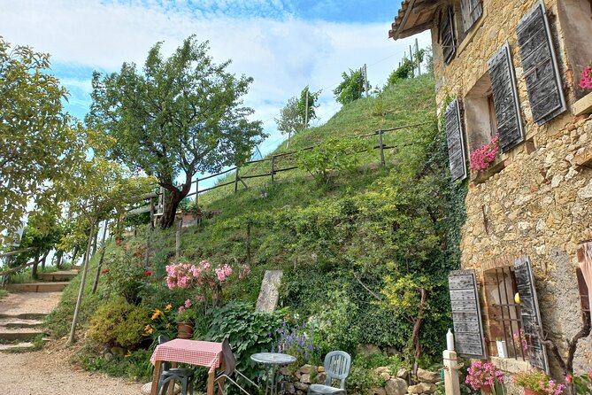 Prosecco Hills Day Trip from Venice & Treviso: 2 Wineries - Key highlights worth your attention