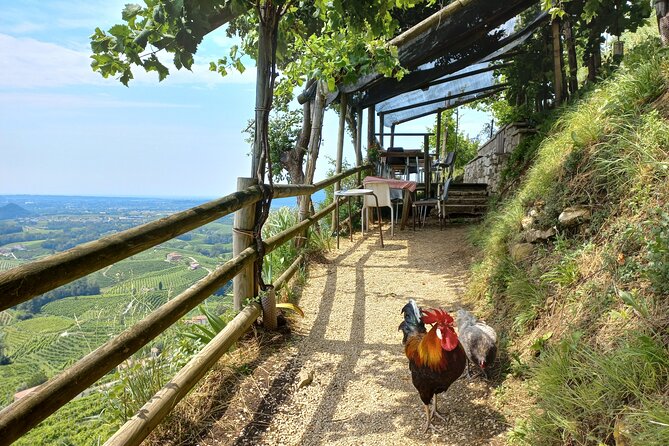 Prosecco Hills Day Trip from Venice & Treviso: 2 Wineries - UNESCO Prosecco Hills viewpoints: scenic drives that explain the place