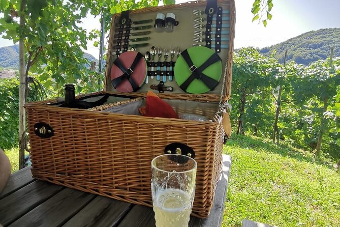 Prosecco Hills Wine and Cheese Gourmet Discovery - UNESCO Prosecco Hills viewpoints: the photo stop you’ll remember