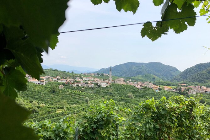 Prosecco Hills Wine and Cheese Gourmet Discovery - Timing, group size, and your comfort level