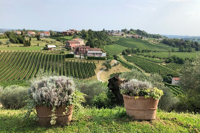 Prosecco Hills Wine and Cheese Gourmet Discovery - Tips to get the most from your cheese and wine day