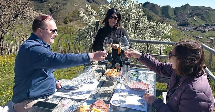 Prosecco Wine Tour. Full Day - 2 Wineries. From Venice - Key things to know before you go
