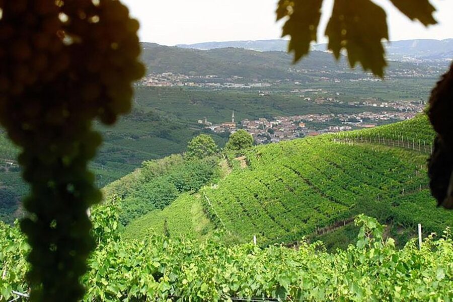 Prosecco Wine Tour. Full Day - 2 Wineries. From Venice - Stop 2 in Valdobbiadene: guided winery walk, more tasting, and col Fondo again