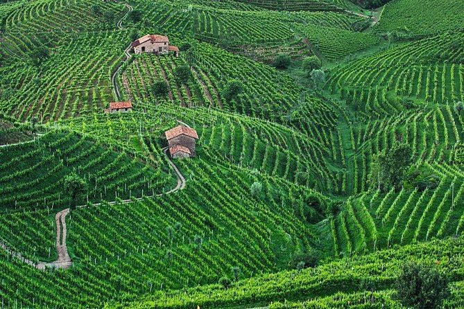 Prosecco Wine Tour. Full day from Venice - Veneto lunch: light food that keeps the day pleasant