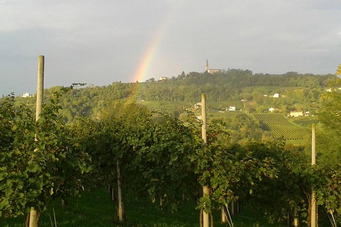 Prosecco Wine Tour. Full day from Venice - Where the day starts: Piazzale Roma at 10:00 am