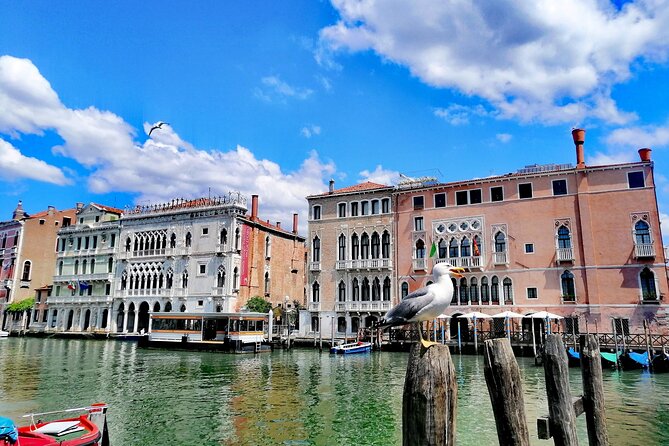 Rialto Market & Seafood Cooking Class in Murano - Practical tips before you book