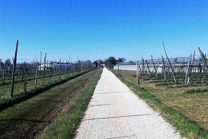 Sant’Erasmo Bike Tour in Venice’s Green Island - Northern viewpoints toward Burano and San Francesco del Deserto