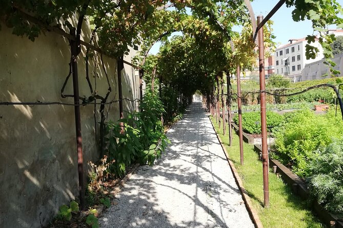 Secret Gardens of Venice Walking Tour - Stop 1 in Cannaregio: the nuns’ garden with fruit trees and flower pergolas
