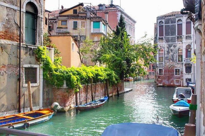 Tasty Street Food Tour of Venice City Center with Cicchetti & Local Specialties - How to plan your day: footwear, smart casual, and pacing