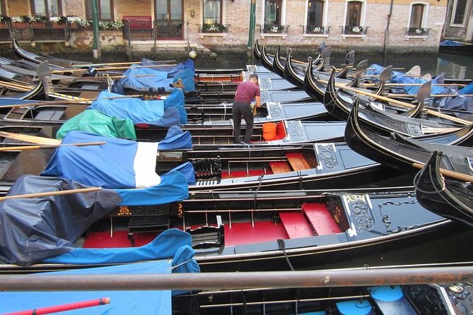 The Heart of Venice: A Self-Guided Audio Tour - Timing and value: $11.99 for a focused Venice orientation walk