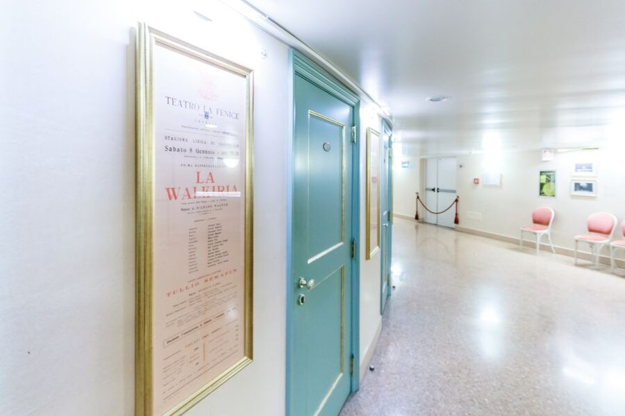 The Majestic Teatro La Fenice: Guided Tour in Venice - Price and Value for $28: Is This Worth It?