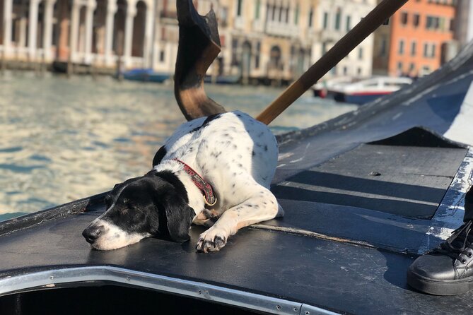 The Secrets of Venice - Private Tour - Chiesetta dell’Abbazia della Misericordia: A Small Stop With Big Feelings