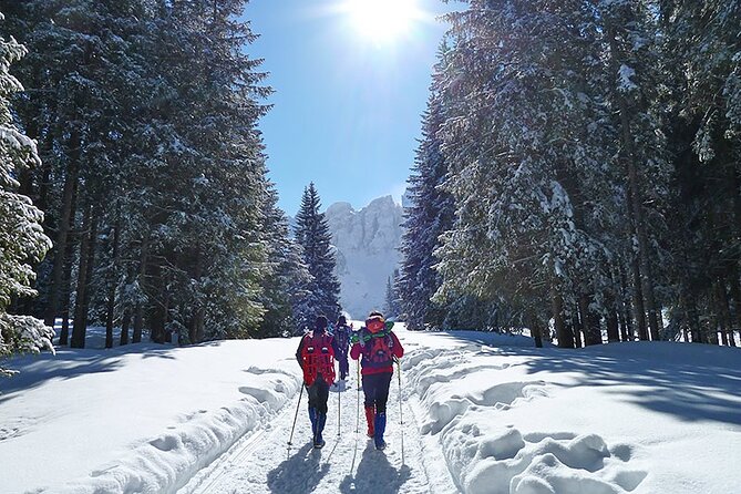 UNESCO Dolomites great expedition from Venice by Yellowboot - Venice to UNESCO Dolomites in a day, without the chaos