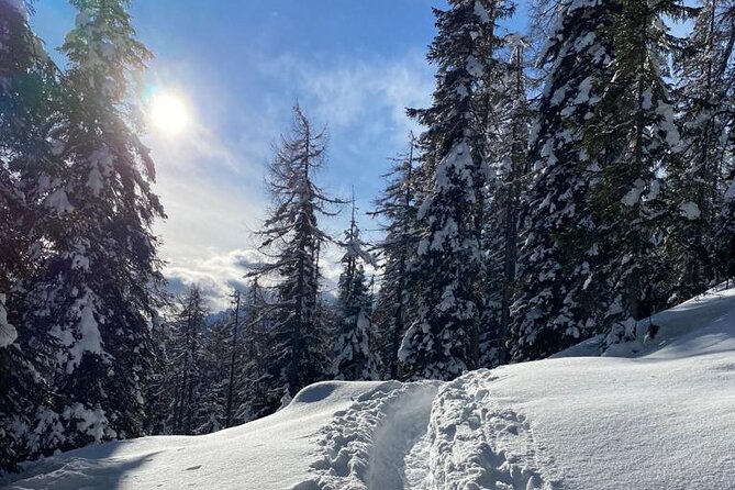 UNESCO Dolomites great expedition from Venice by Yellowboot - The “guided plus free” format, and why it feels easier