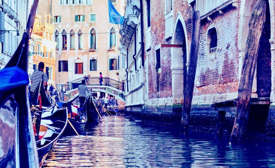Venice: 30-Minute Gondola Ride on Grand Canal with Serenade - Stops you glide by: Salute, Peggy Guggenheim Collection, La Fenice, San Moisè