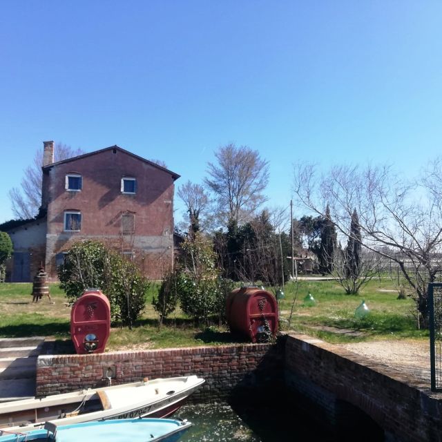 Venice: Bike Tour Honey & artichockes on Sant’Erasmo Island - Key highlights on Sant’Erasmo by bike and honey